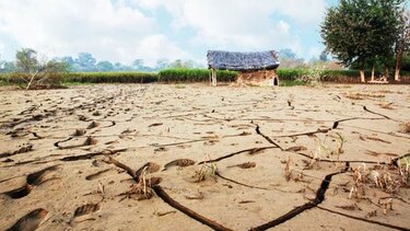 Al menos 160 muertos por ola de calor en India