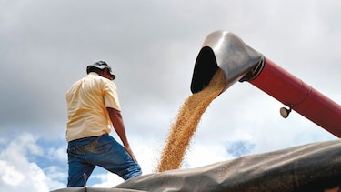 Gigante agraria estadounidense comprará Neovia