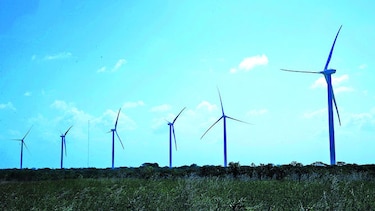 Plan de energía atrae a uruguayos