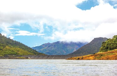 Industria se enfoca en el mercado de carbono