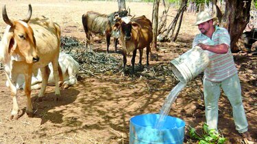 Recomiendan a productores santeños almacenar agua