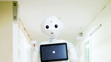 Robot de compañía