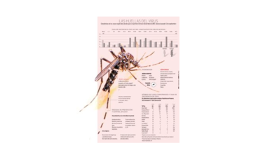 El virus zika avanza con cautela