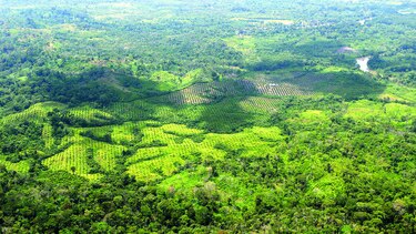 Ministerio de Ambiente no hizo lo suficiente: CIAM