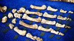 Hallan primo lejano de ‘Homo sapiens’