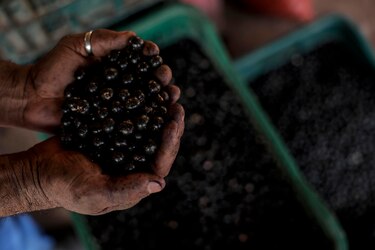 La internacionalización de las pymes brasileñas genera 125 millones de dólares