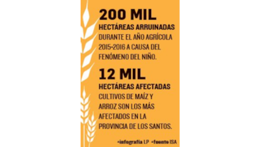 Falta de planificación agudiza crisis en el agro