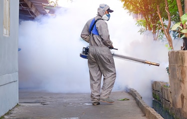 Los cuatro serotipos del dengue circulan de forma   simultánea en Panamá