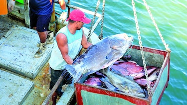 Exportaciones aumentan 4.5%