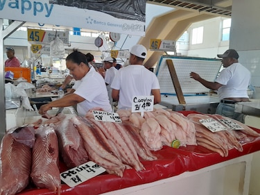 Veda del dorado en Panamá se mantiene hasta el 31 de agosto