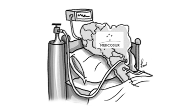 Coma inducido