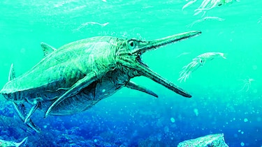 Monstruo marino del Jurásico sale del anonimato