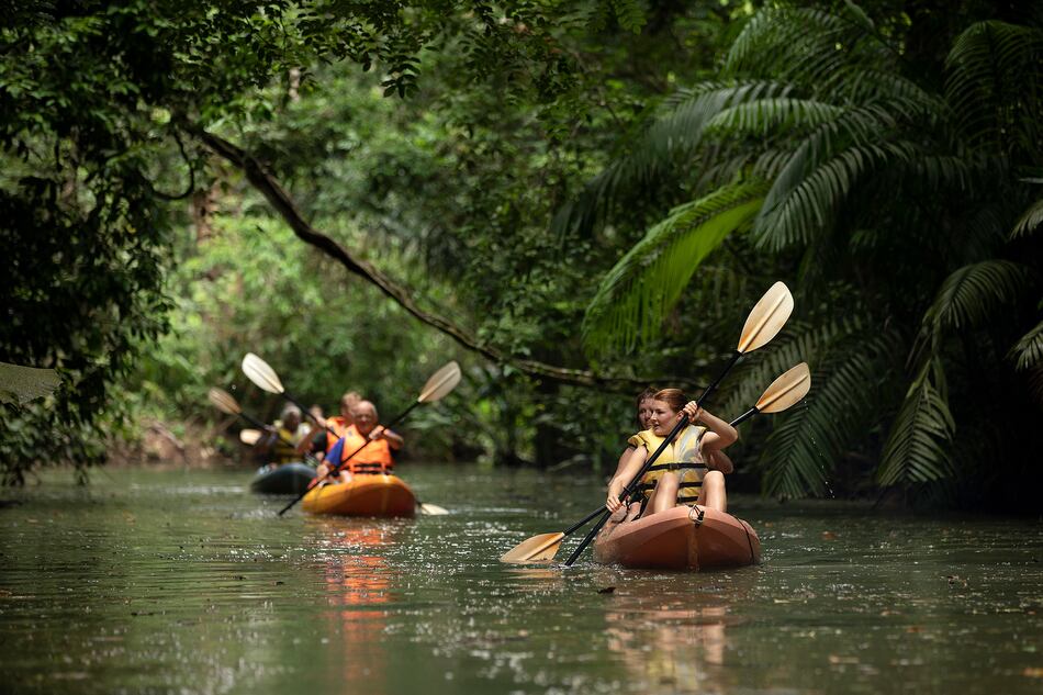Cuatro aseguradoras compiten por contrato millonario de seguro gratuito para turistas