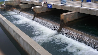 Este sábado realizarán mantenimiento en la potabilizadora de Chilibre; 80% de los clientes quedarán sin agua