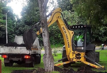 Áreas revertidas son evaluadas para realizar proyectos de reforestación