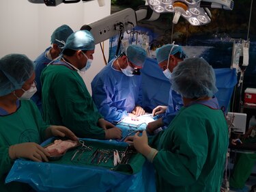 Panamá llegó al trasplante renal número mil