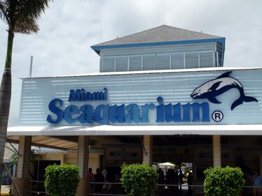 El Miami Seaquarium pide al Gobierno de Miami que anule su aviso de desalojo