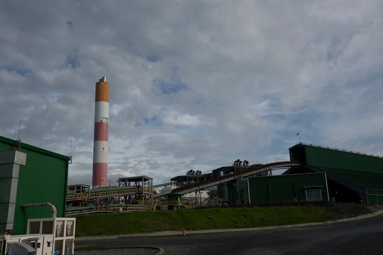 ¿Qué sucede dentro de la mina de Donoso?