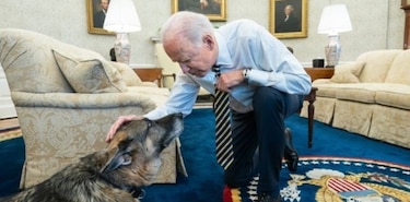 Murió Champ, uno de los perros de la familia de Joe Biden