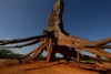 El fenómeno de El Niño y la importancia de la gestión integral del agua