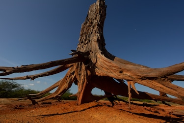 El cambio climático y la última generación que puede frenarlo