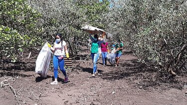 En playa El Retén buscan detener los efectos del cambio climático en la zona