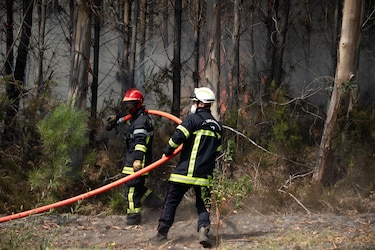 El incendio en la ciudad francesa de Gironda permanece ‘impredecible’ y con 220,000 personas evacuadas
